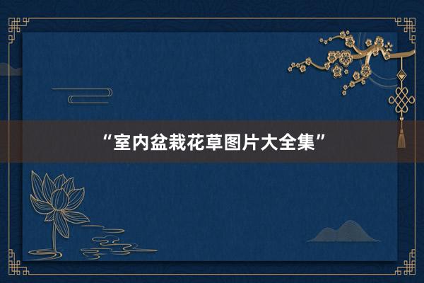 “室内盆栽花草图片大全集”